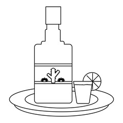 tequila bottle and shot icon over white background, vector illustration