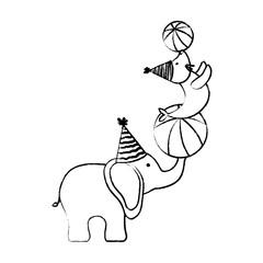 sketch of circus elephant and seal over white background, vector illustration