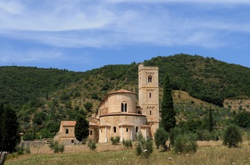  イタリア、トスカーナの秋のぶどう収穫風景