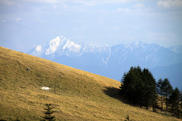 Fototapeta premium 車山