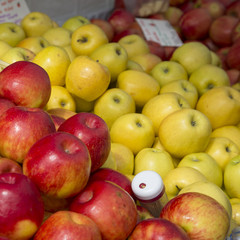 Isolated, close up view of organic apples at farmers market