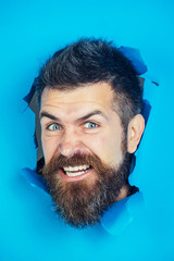 Bearded man making hole in paper. View of male face through hole in blue paper. Angry man looking through hole. Bearded man making hole in paper. Isolated. Close up. Emotions.