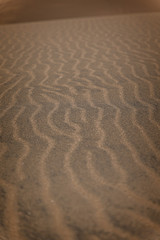 Waves in the Colorado sand