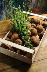 イタリアの食材と市場の風景