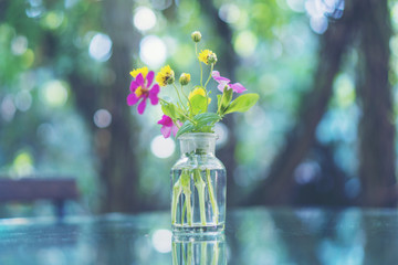 colorful flower on outdoor coffee table