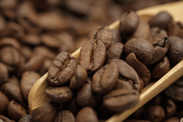 close up of coffee beans on the wood spoon