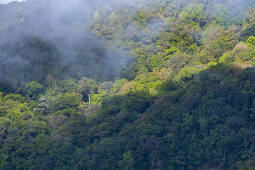 Fototapeta na wymiar Bird eyes view on tropical forest Thailand