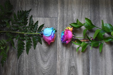 spring flowers on wooden background