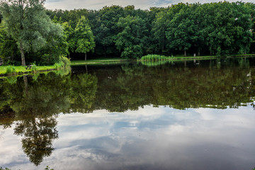 Obraz premium a water pond at Haagse Bos, forest in The Hague