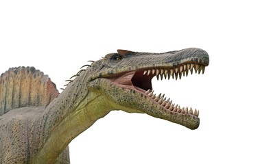 Spinosaurus is a genus of theropod dinosaur that lived in North Africa.
Spinosaurus was among the largest of all known carnivorous dinosaurs, nearly as large as or even larger than Tyrannosaurus.