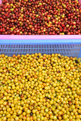 close up of fresh coffee beans for background