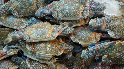 streetfood in thailand