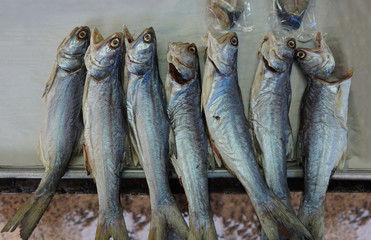 streetfood in thailand