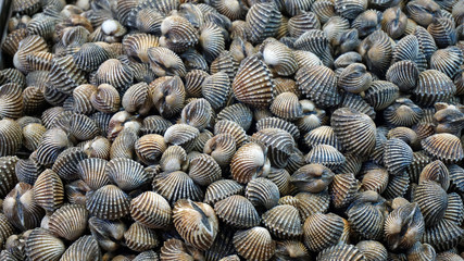 streetfood in thailand