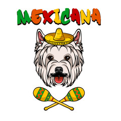 West highland white terrier. Sombrero, Maracas. Mexicana colorful inscription. Vector.