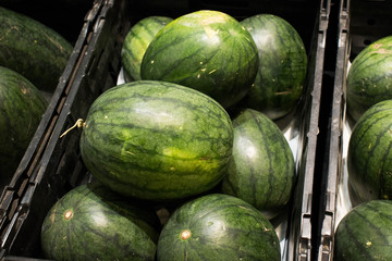 Piles of fresh and green watermelon for sell in the market.