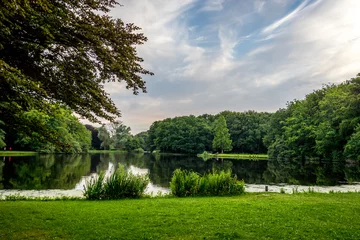 Foto op Aluminium Blue sky over a lake and green grass at Haagse Bos, forest in The Hague © SkandaRamana