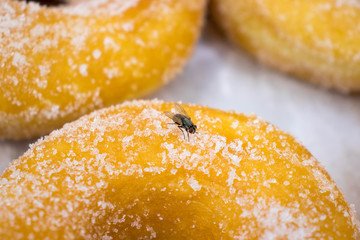 Housefly hanging on the doughnut communicated to dirtiness..