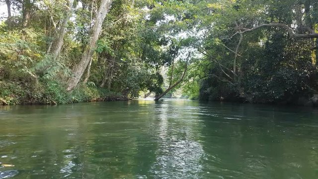 4K footage view from boat trip along the river with tropical rain forest side view