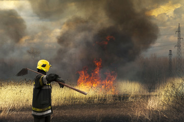 The firefighter watches  afterfire landscape