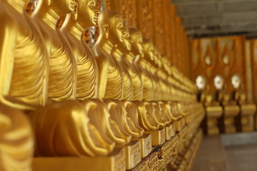 The buddha pictures