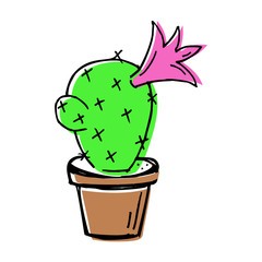 sketch doodle home green cactus in brown pot, flat cartoon colors, stock vector illustration
