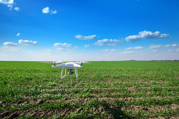 drone quad copter on green corn field