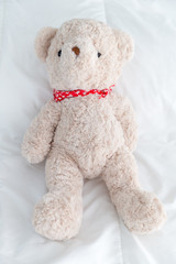Teddy Bear lying in the bed