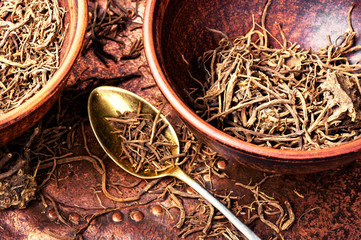 Roots and rhizomes Valerian officinalis