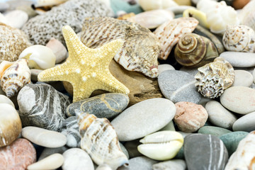 Fototapeta na wymiar maritime background with seashells, stones and starfish, macro view 