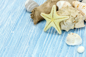 Fototapeta na wymiar seashells, pebble and starfish on blue wooden planks background. vacation concept 