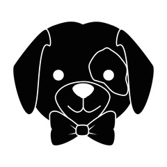 cute dog breed head character vector illustration design