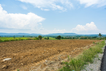 plowed field and blue sky