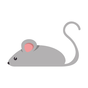 little mouse isolated icon vector illustration design