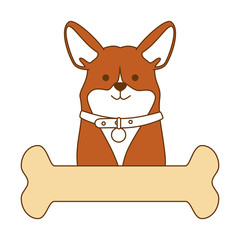 cute dog breed with bone character vector illustration design