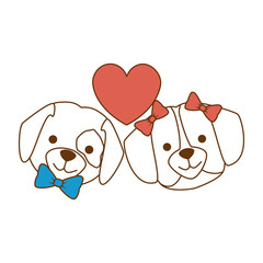 cute dogs heads couple lovers with hearts characters vector illustration design