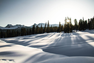Ely on the background of an excellent mountain landscape.