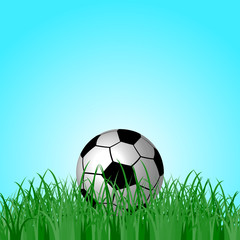 Football ball on green grass
