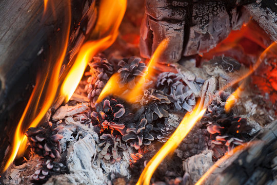 Warming campfire with burning pine cones