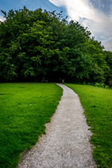 muddy path leading into the dark forest at Haagse Bos, forest in The Hague