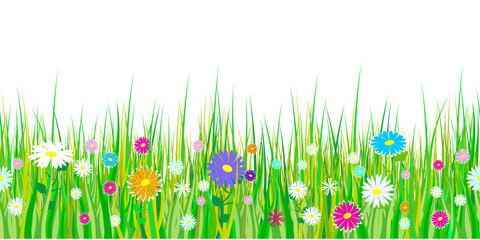 Spring grass and flowers borders. Seamless pattern Easter decoration with spring grass and meadow flowers. Isolated on white background. Vector