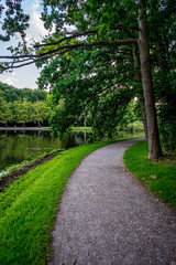 walking path along a pond at Haagse Bos, forest in The Hague