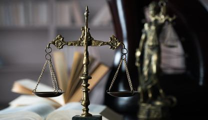 Themis figure in library
