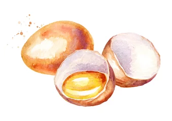  Eggs composition. Watercolor hand drawn illustration   isolated on white background © dariaustiugova