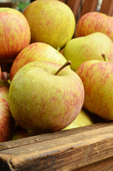 Pile of apples for sale at market