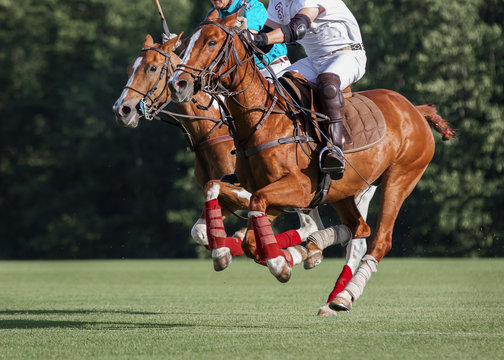 Battle of horse Polo Players in the game: horses in action