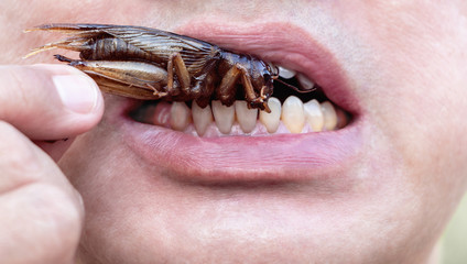The male opening his mouth to eat insects. The concept of protein food sources from insects.