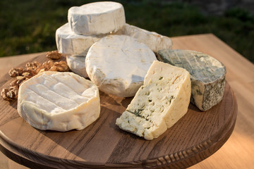 cheese plate. different cheeses on a wooden plate