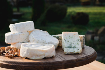 cheese plate. different cheeses on a wooden plate
