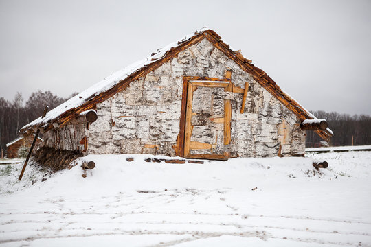 Old traditional birch covered shack